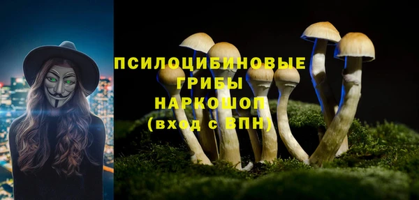 трава Абаза