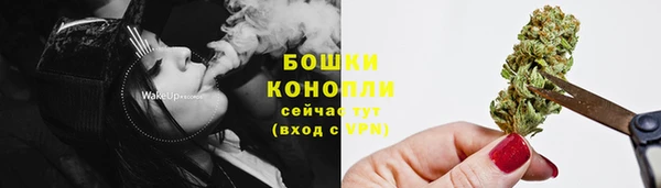 трава Абаза