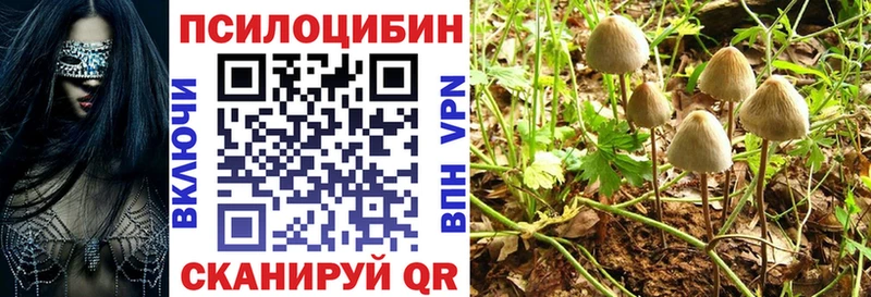 Псилоцибиновые грибы Psilocybe  МЕГА рабочий сайт  Электроугли 